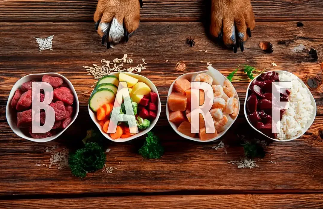 What is BARF? All about raw feeding for dogs