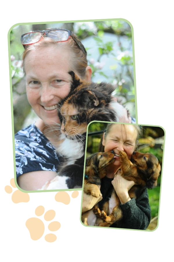 Petra von Quillfeldt