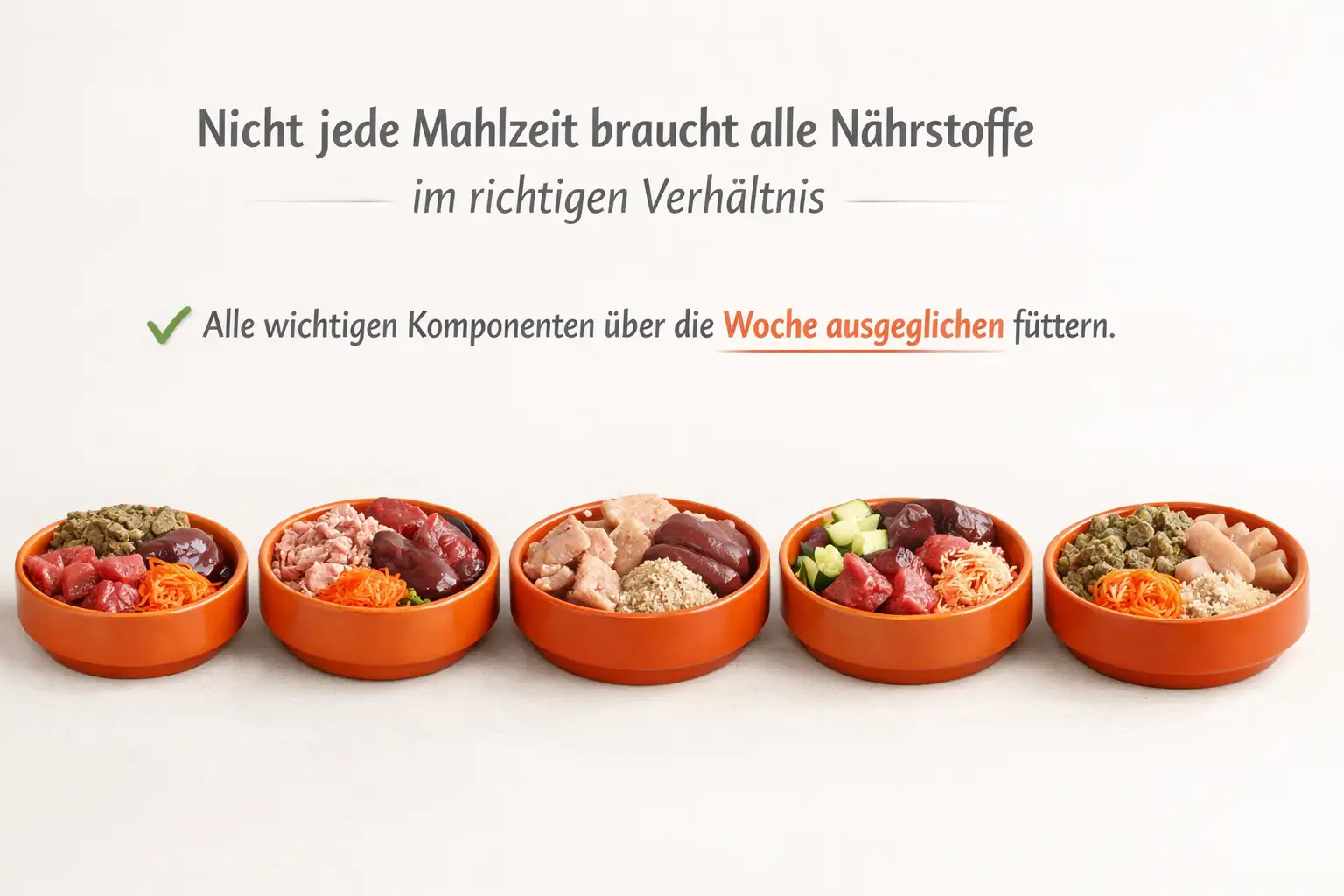 Grafik mit verschiedenen BARF-Näpfen