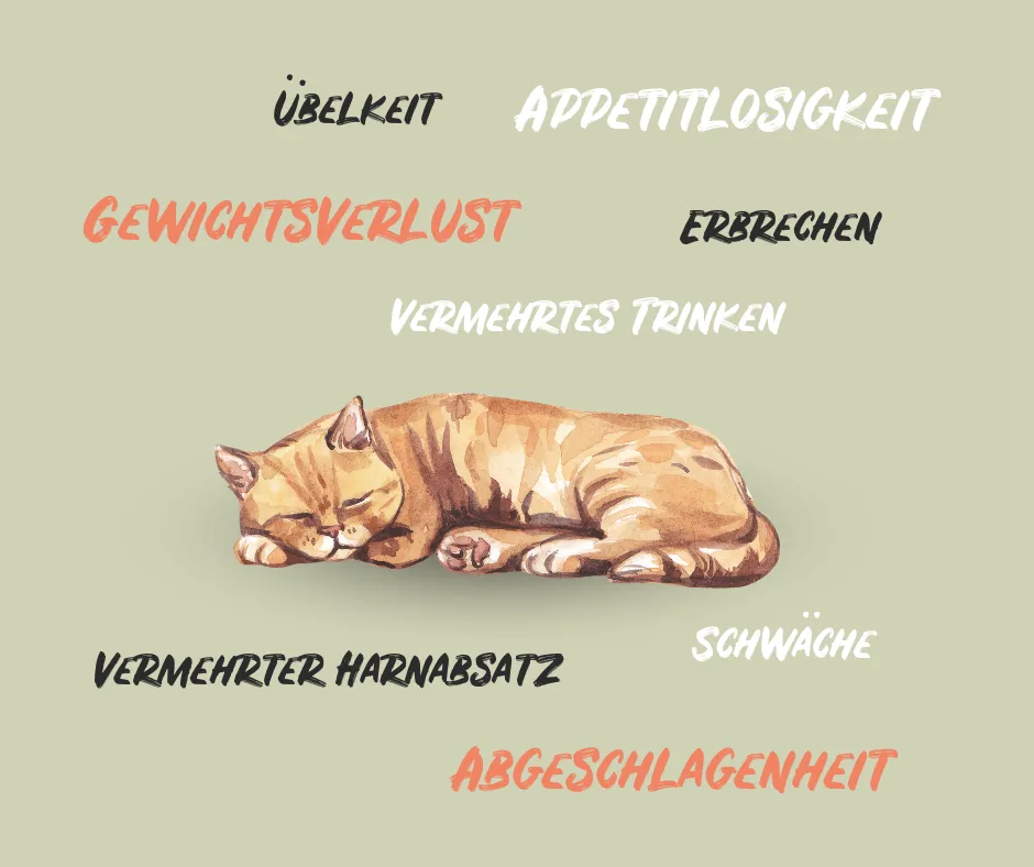 Symptoms of kidney failure