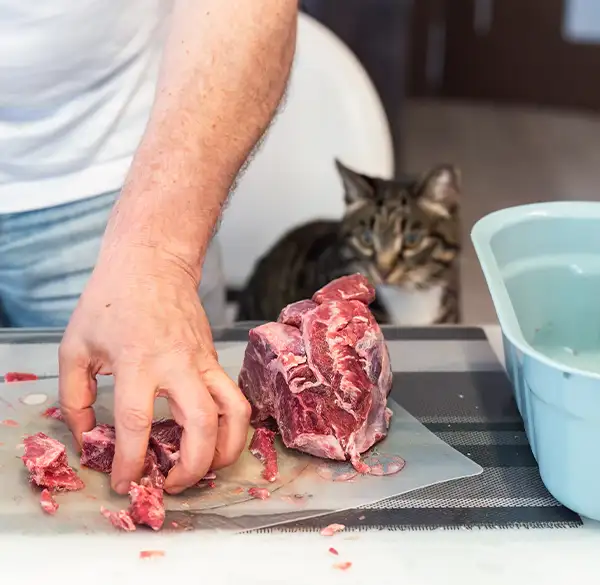 Rohes Fleisch auf Schneidebrett mit Katze